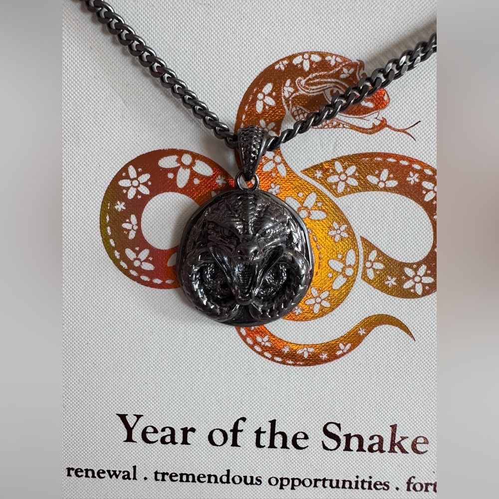 2025 Year Of The Snake Chain and Pendant Men/Women Necklace NIB! 18”+2”